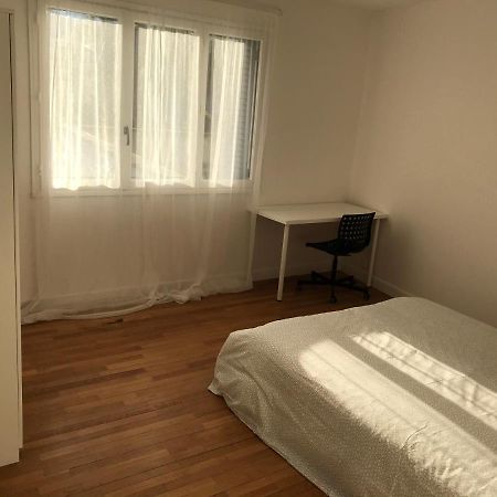 Grenoble Joli Appartement Екстериор снимка