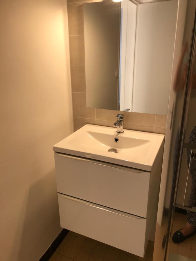 Grenoble Joli Appartement Екстериор снимка
